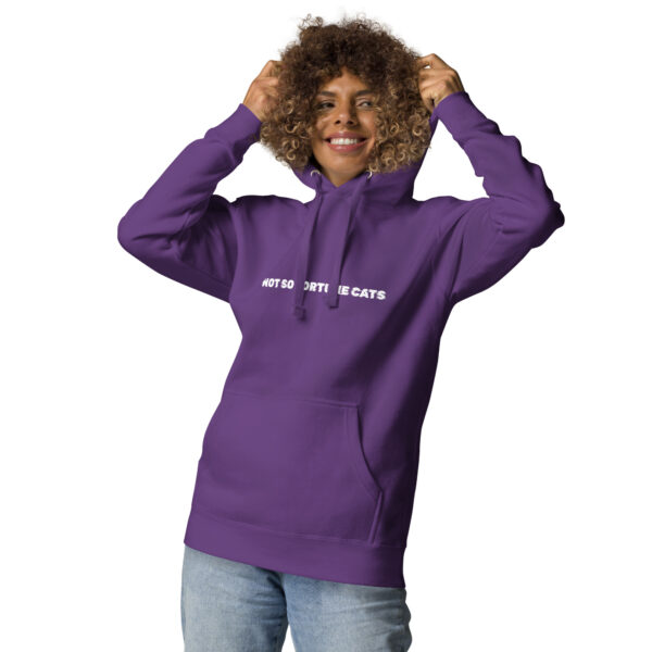 Unisex Hoodie - Image 5